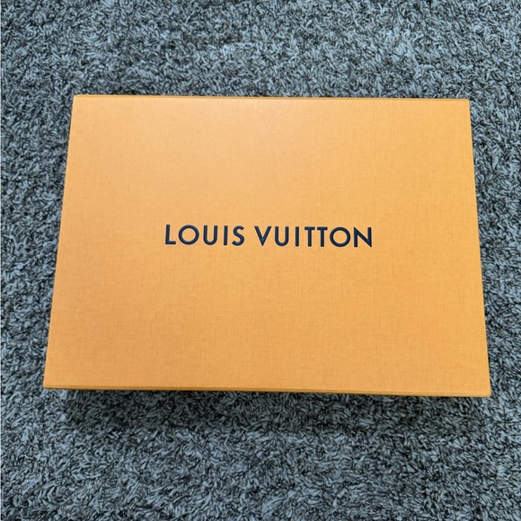 AUTHENTIC LOUIS VUITTON Grey Wool/Silk Logomania Scarf - Picture 6 of 9